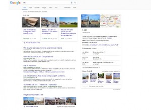 SERP en SEO