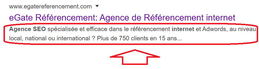 balise description pour google